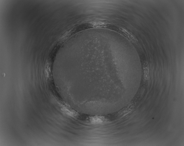 X0000084000618200702232139