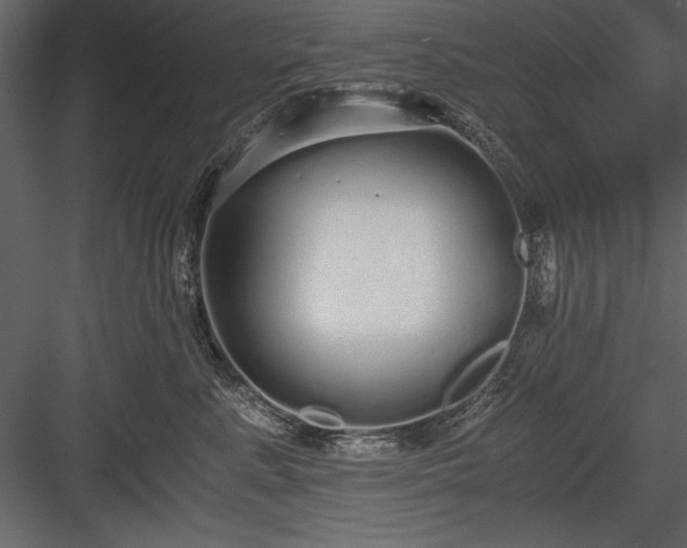 X0000084000619200702232139