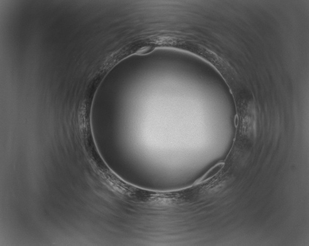 X0000084000620200702232139