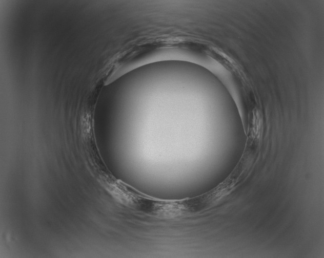 X0000084000621200702232139