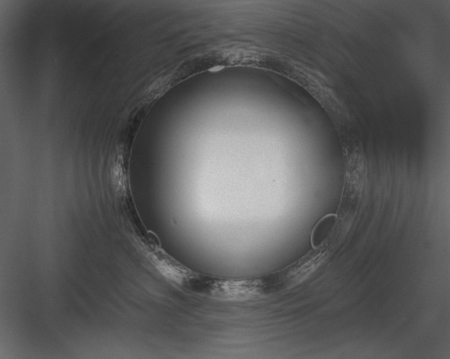 X0000084000622200702232139