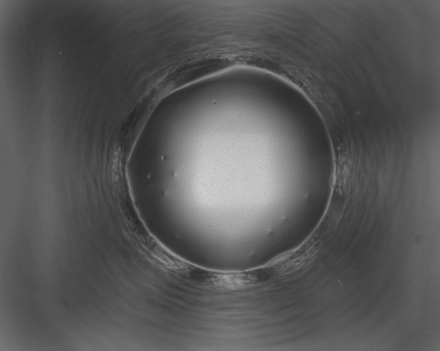 X0000084000623200702232139