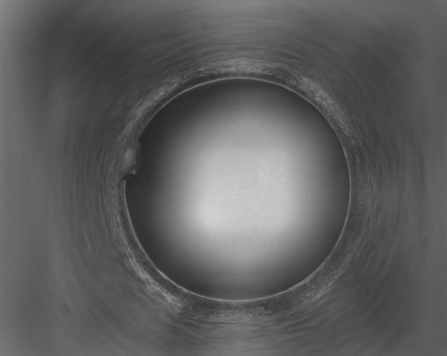 X0000084000625200702232138