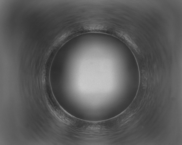 X0000084000631200702232138