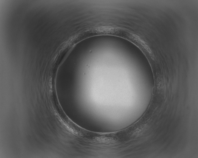 X0000084000633200702232138