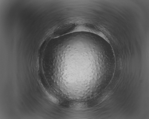 X0000084000638200702232138