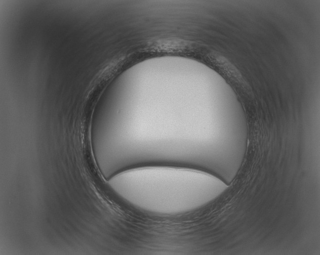 X0000084000640200702232139