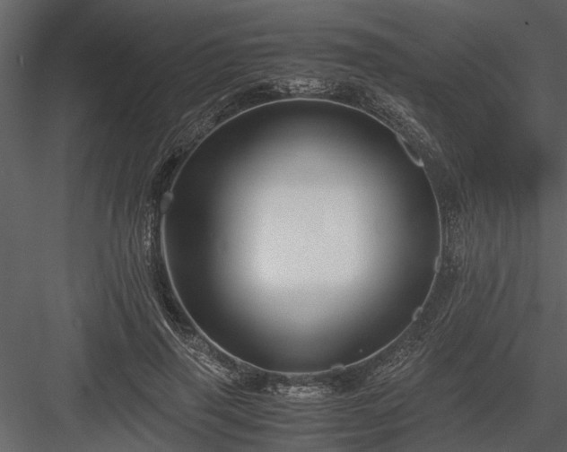 X0000084000645200702232139