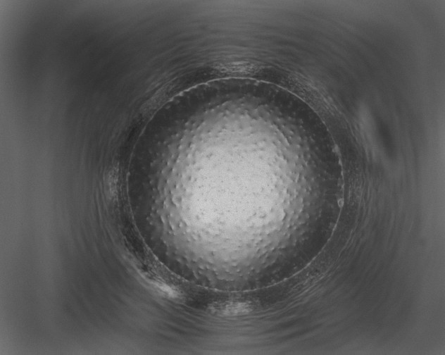 X0000084000647200702232139