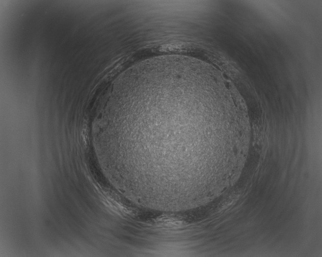 X0000084000648200702232139