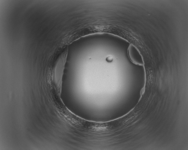 X0000084000651200702232139