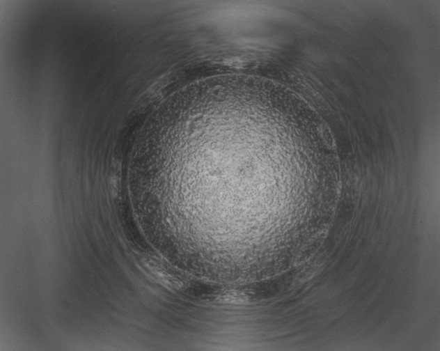 X0000084000656200702232139