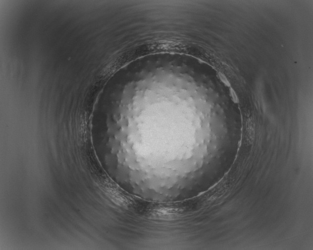 X0000084000657200702232139