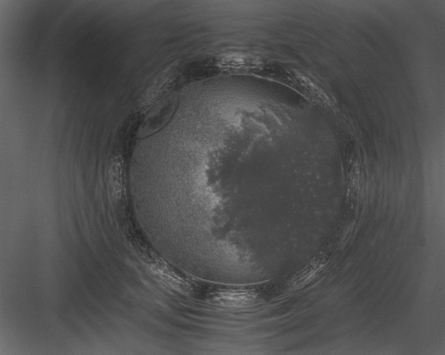 X0000084000659200702232139