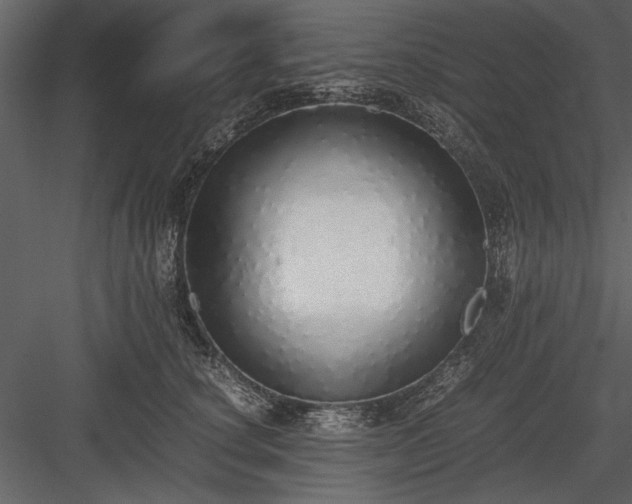 X0000084000660200702232139