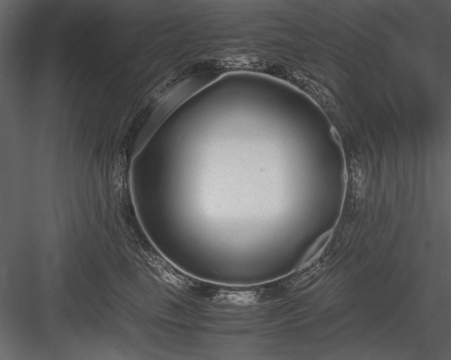 X0000084000665200702232139