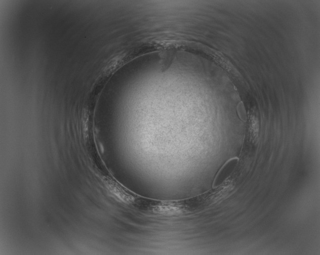 X0000084000668200702232139