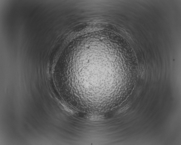 X0000084000670200702232139