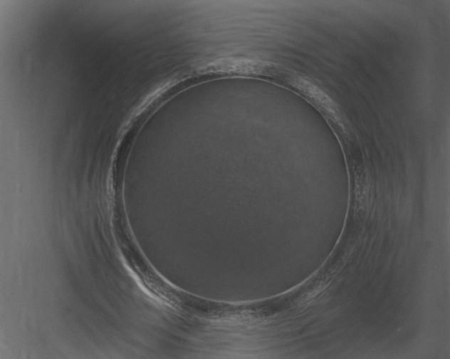 X0000084000674200702232138