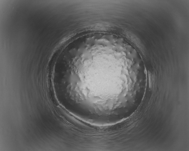 X0000084000675200702232138
