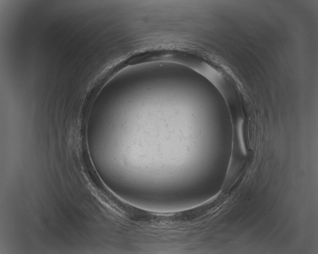 X0000084000677200702232138