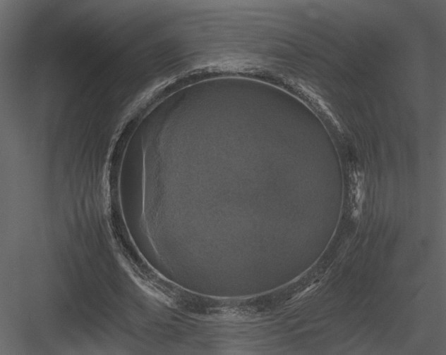 X0000084000678200702232138