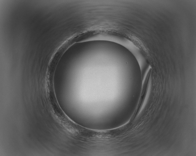 X0000084000680200702232138