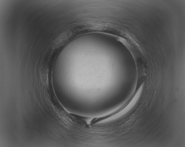 X0000084000685200702232138