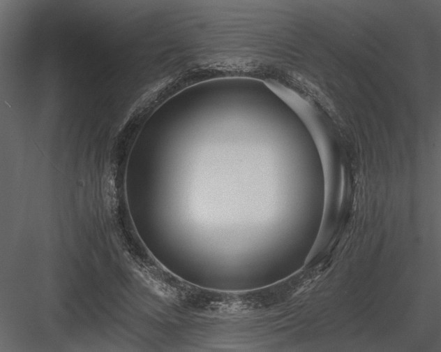 X0000084000688200702232138