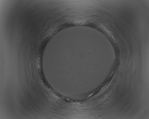 X0000084000689200702232138