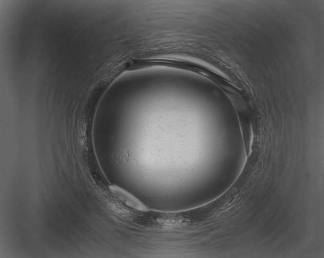 X0000084000693200702232138