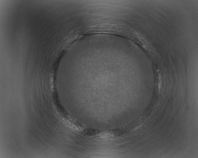 X0000084000696200702232138