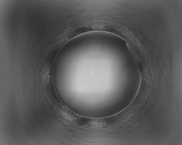 X0000084000697200702232138