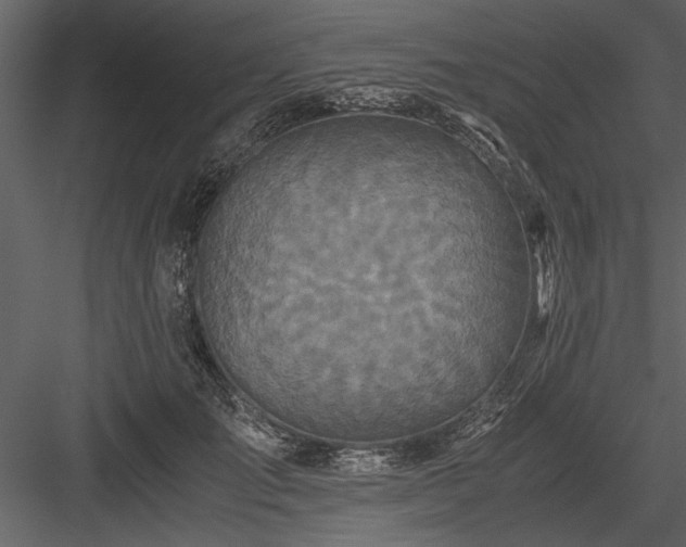 X0000084000701200702232138