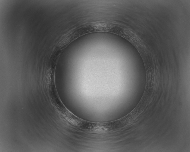 X0000084000702200702232138
