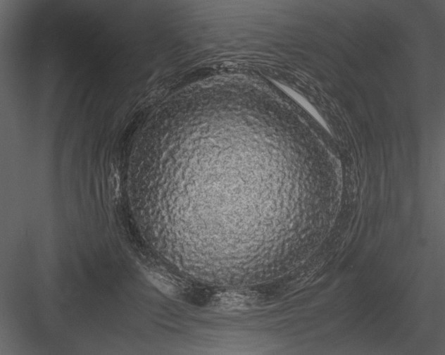 X0000084000703200702232138