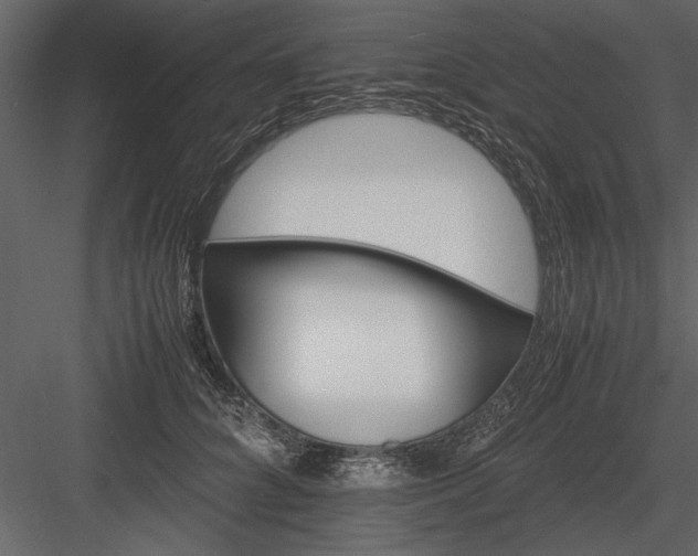 X0000084000704200702232138