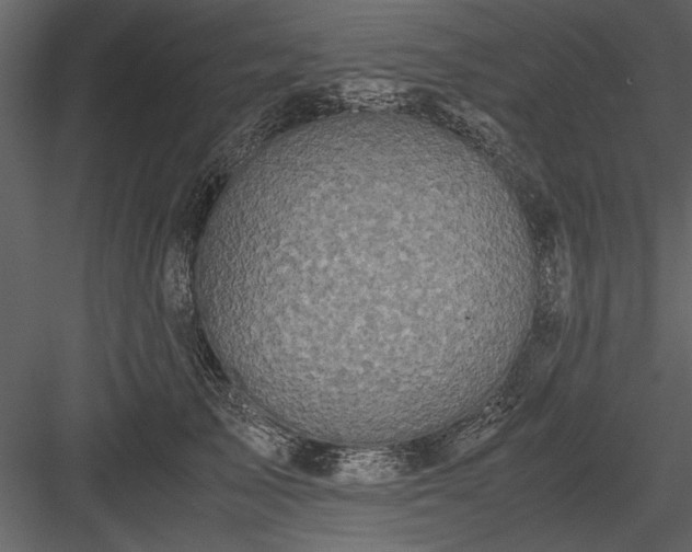 X0000084000705200702232138