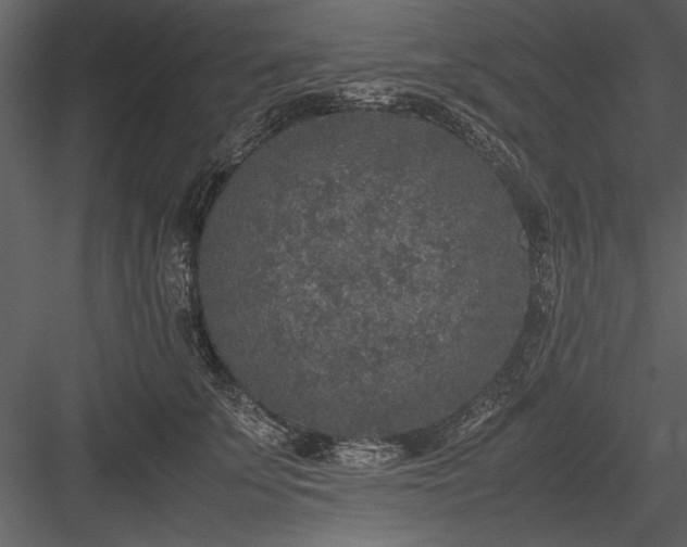 X0000084000707200702232138