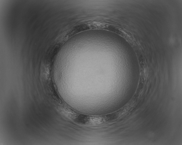 X0000084000709200702232138