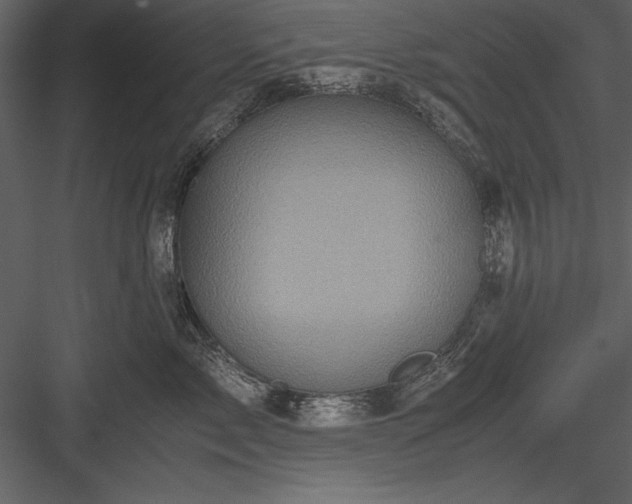 X0000084000717200702232137