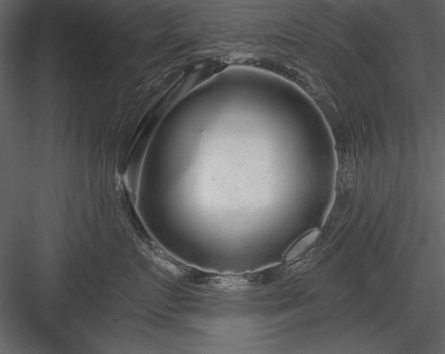 X0000084000719200702232137