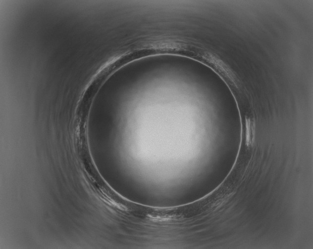 X0000084000723200702232137