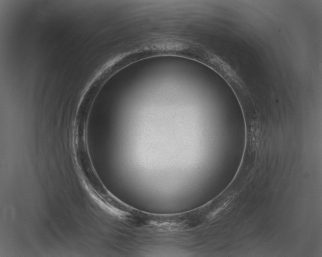 X0000084000726200702232137