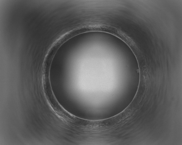 X0000084000728200702232137