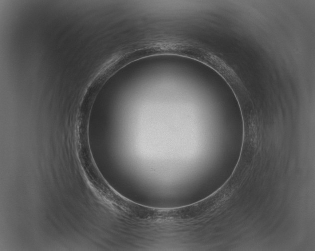 X0000084000730200702232137