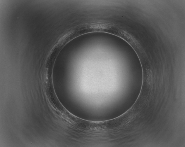 X0000084000731200702232137