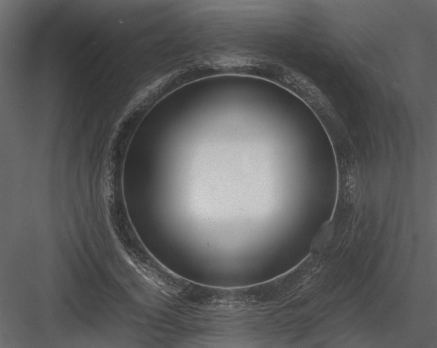 X0000084000732200702232137
