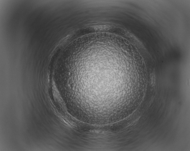 X0000084000733200702232137