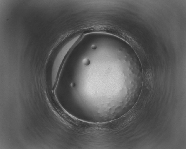 X0000084000734200702232137